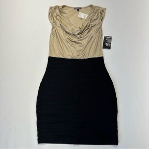 Express Black and Gold Bodycon Dress